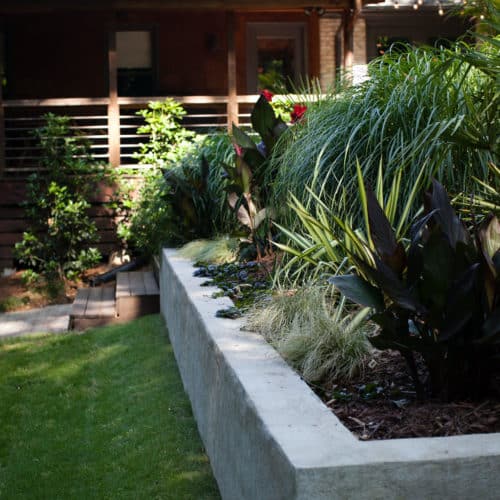 Shady backyard plantings in concrete raised bed