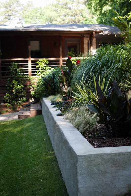 Shady backyard plantings in concrete raised bed