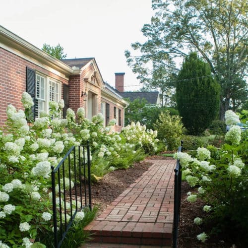 Antique brick pathway with handrail and plants