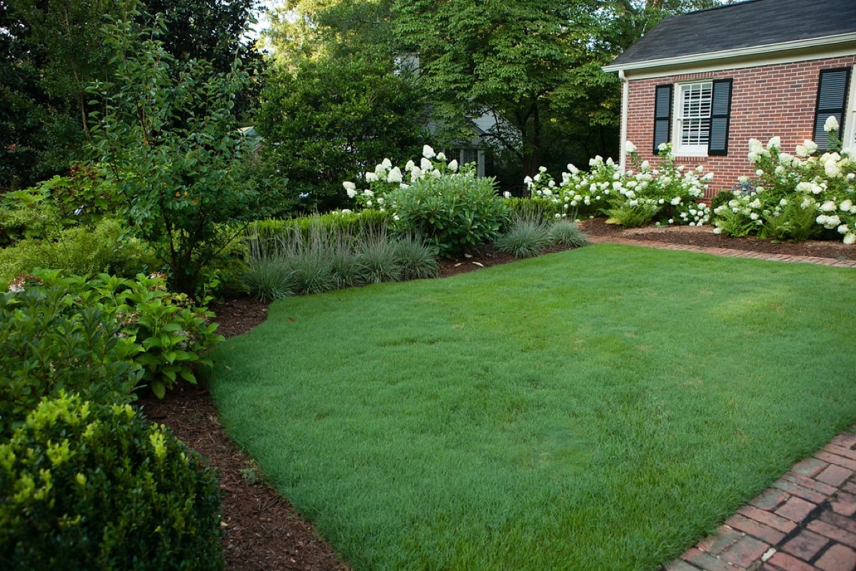 Front yard lawn with plantings and boxwood hedge