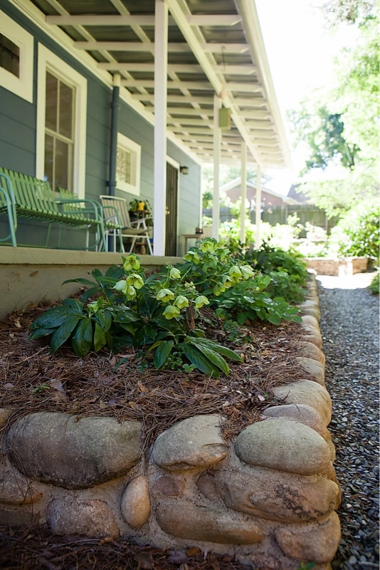 Stone bed edge with native plants, slate chip path