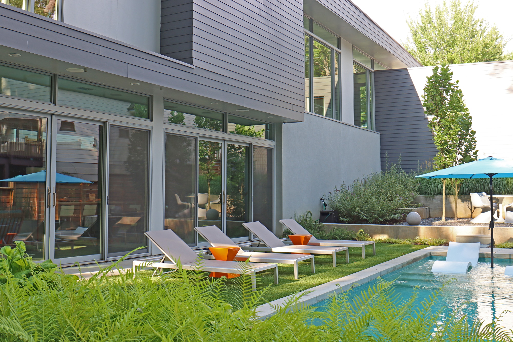 Modern backyard pool and lounge area