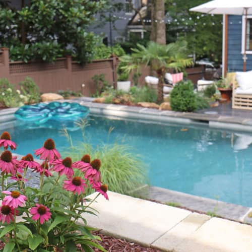 Backyard pool with low-maintenance plants, outdoor seating