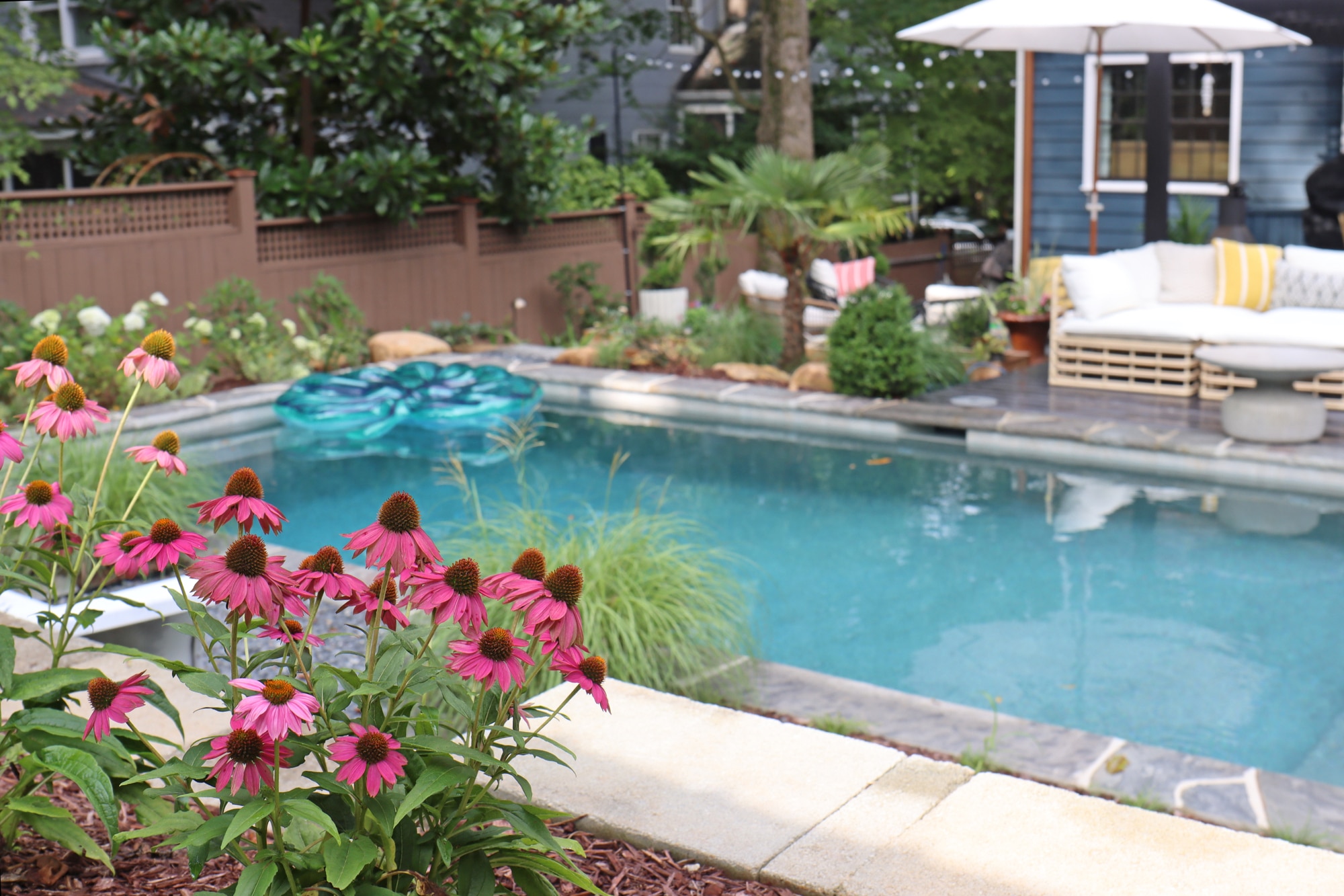 Backyard pool with low-maintenance plants, outdoor seating