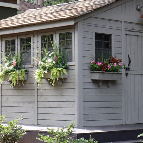 Backyard shed with window boxes