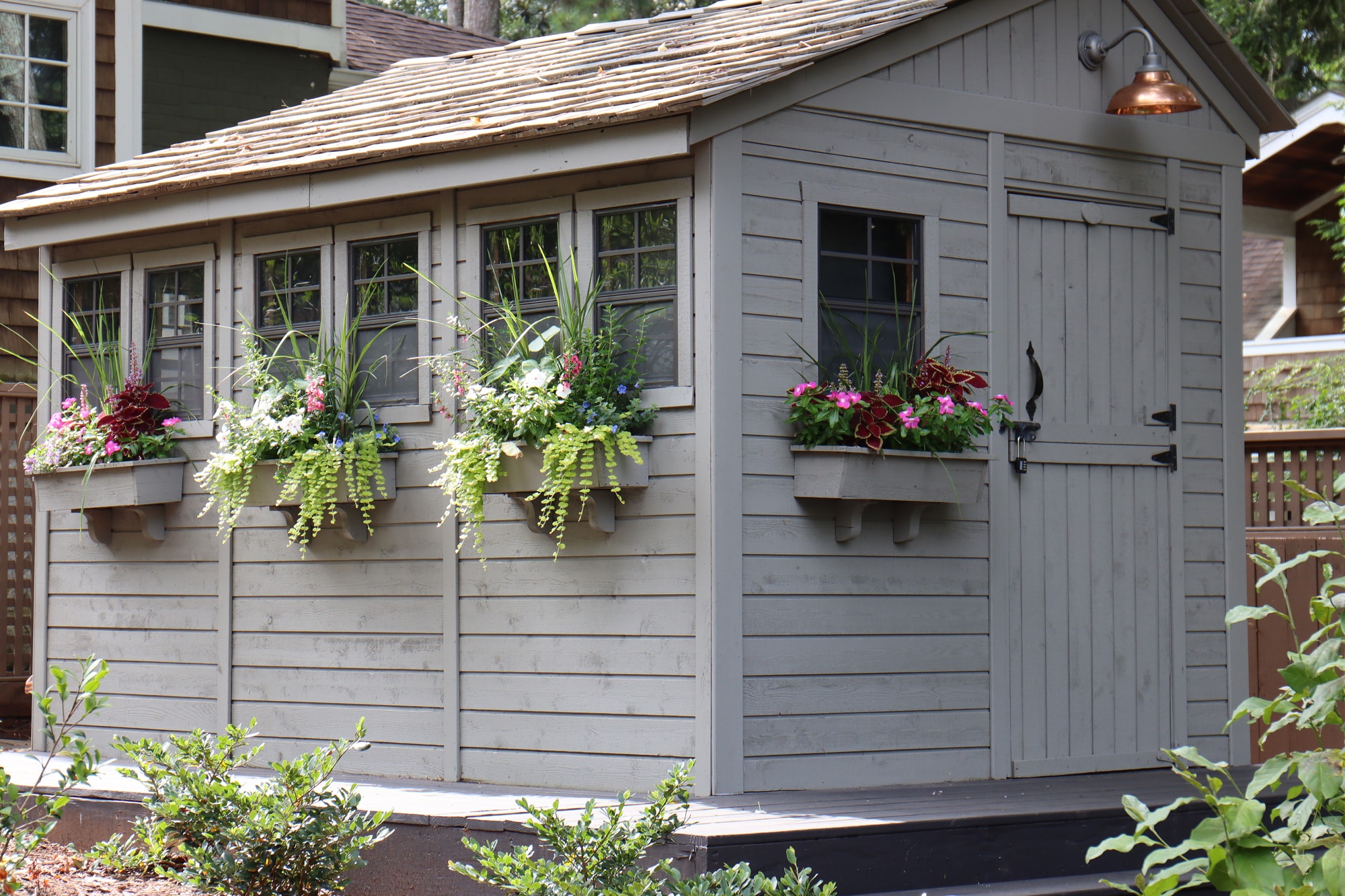 Backyard shed with window boxes