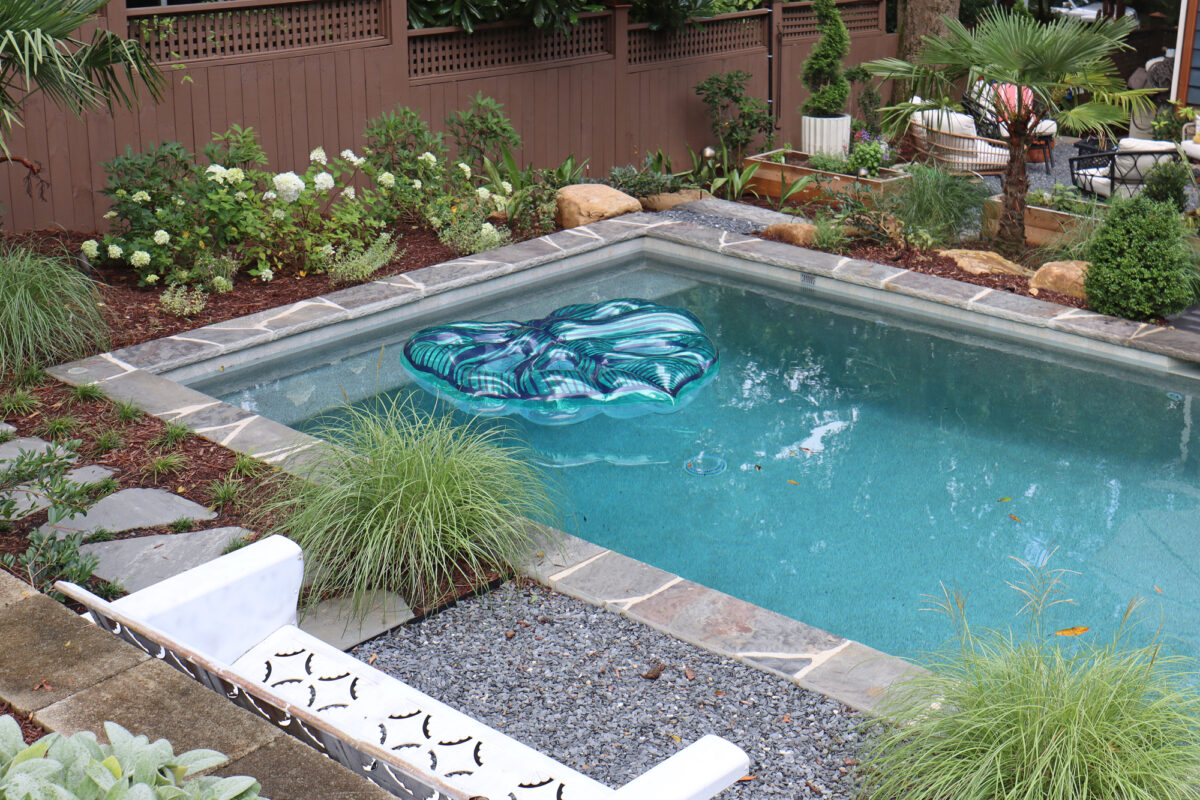 Backyard pool with low-maintenance plants