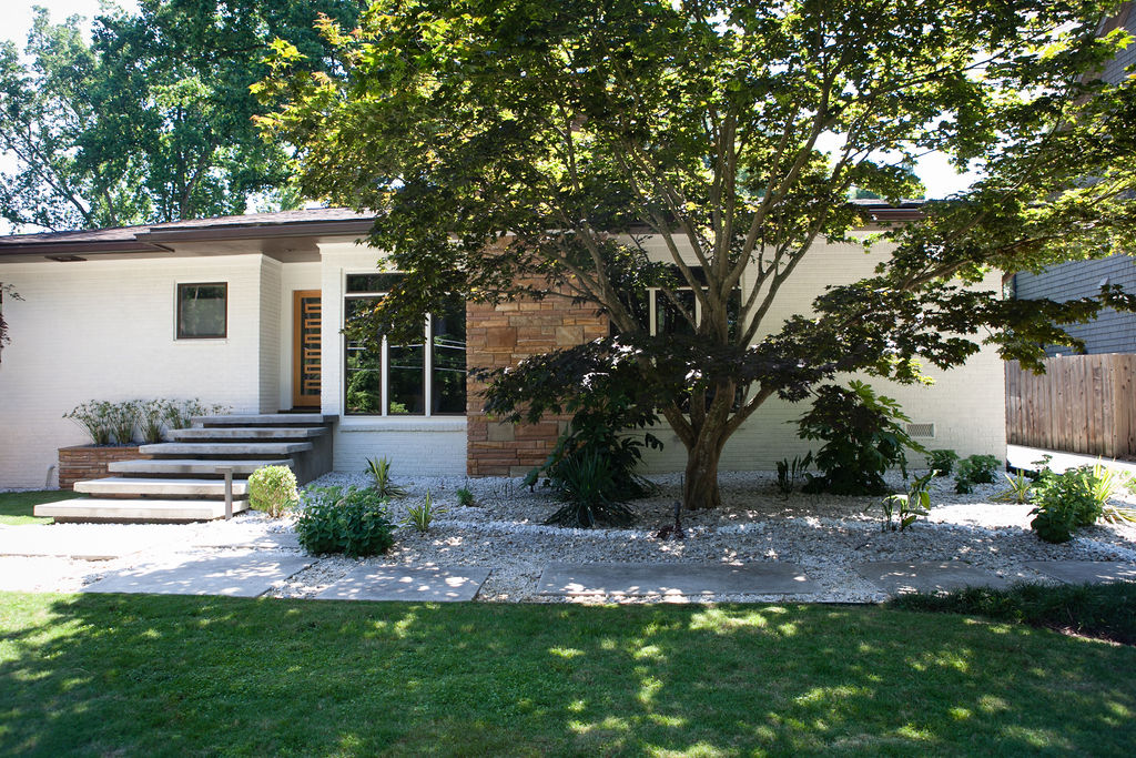 maple shade tree